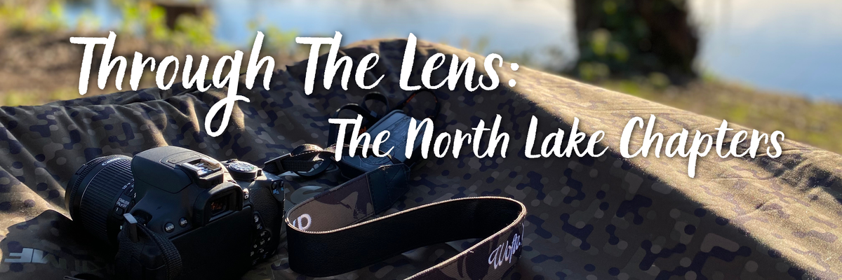 Through The Lens