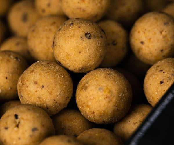 Mainline Dedicated Shelf Life Boilies 5kg