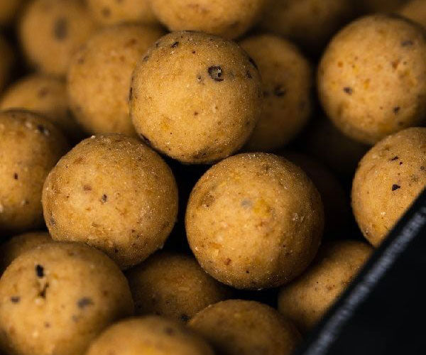 Mainline Dedicated Shelf Life Boilies 1kg