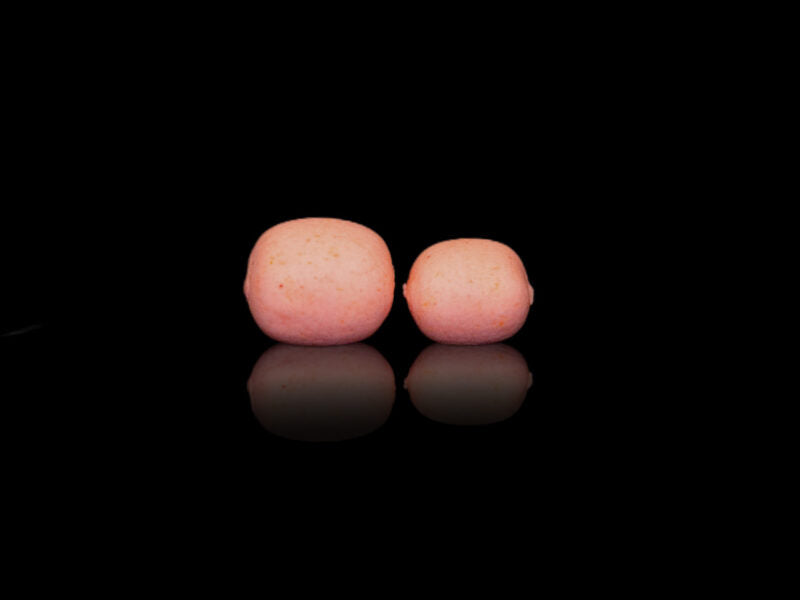 Elevate Baits Super Squid pillows 10mm & 12mm Pop Up Pillows