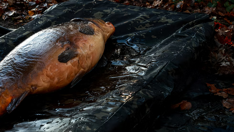 CarpLife Eclipse Camo Elite MF Combi Mat