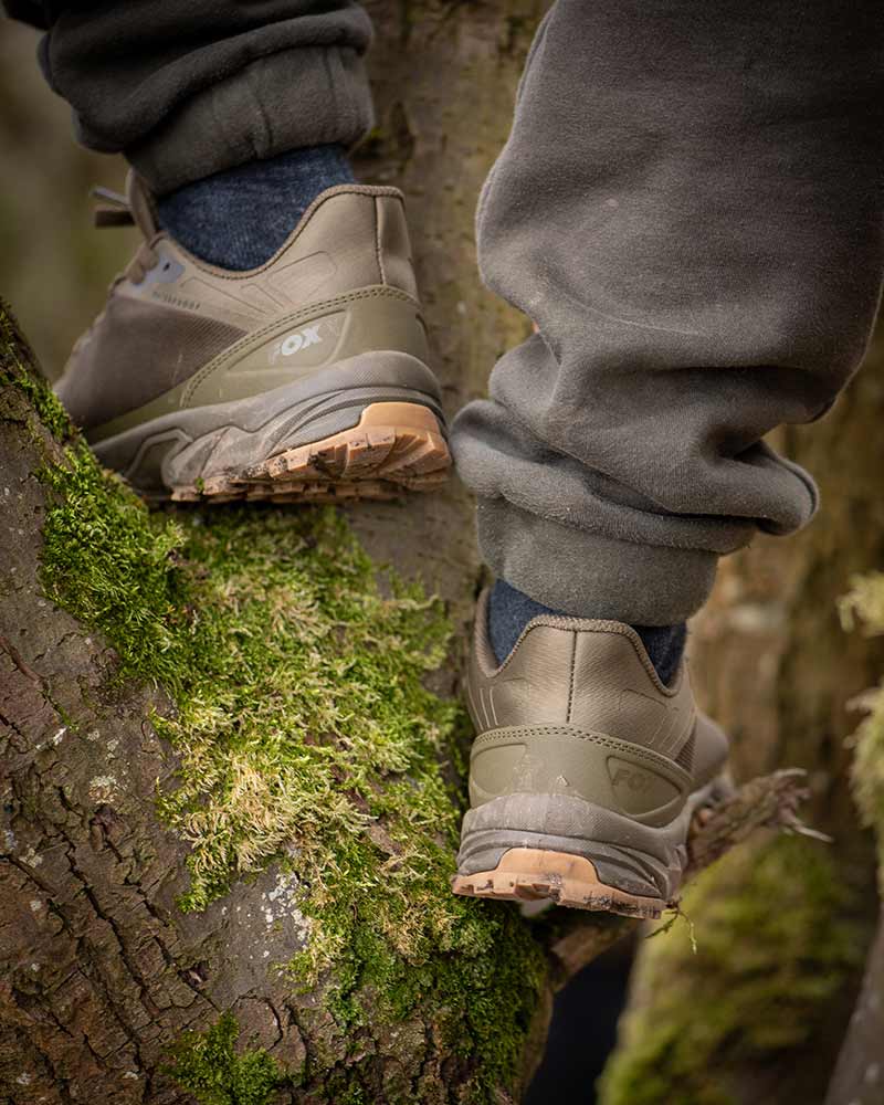 Fox Explorer Trainer V2