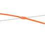 Fox Edges Orange Marker Elastic